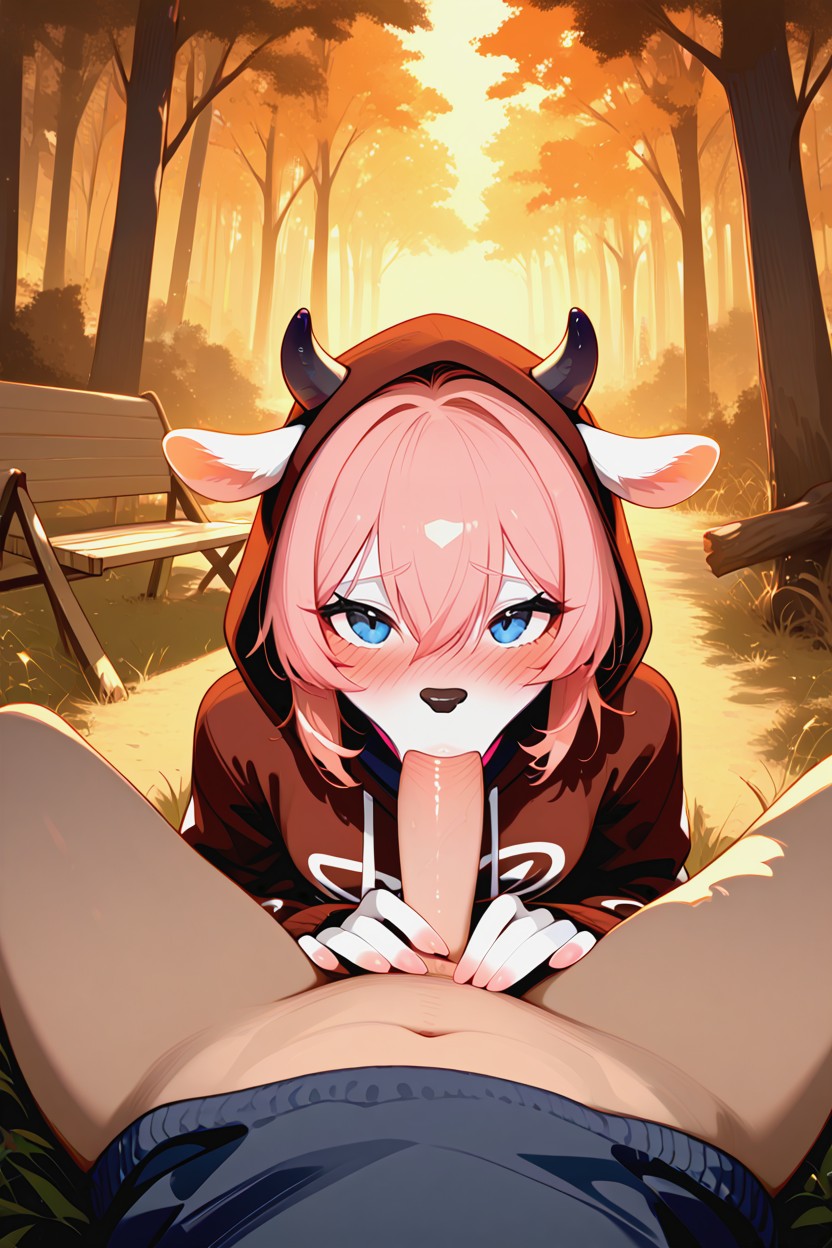 Around A Fire, Pov Fellation, Nuit Porno IA Furry