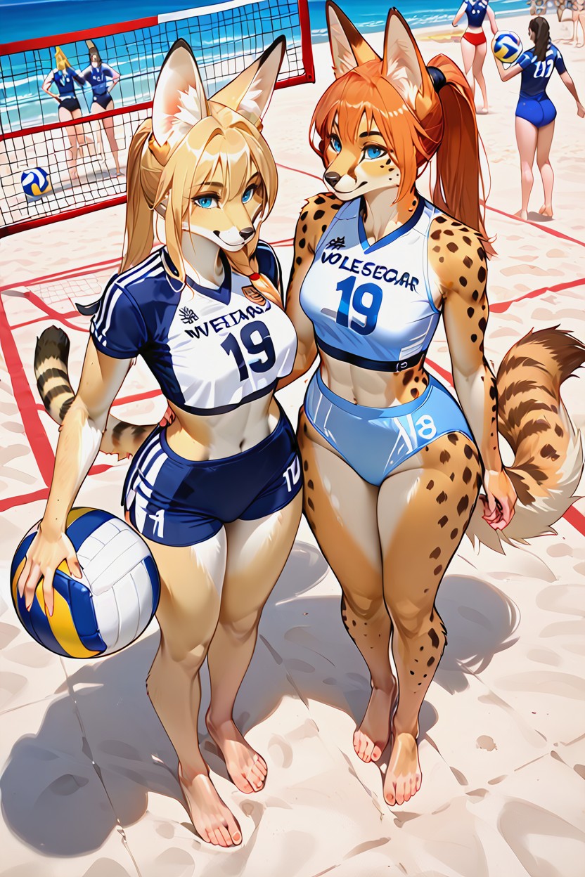 Beach, One Single Net, De Arriba A Abajo Furry IA